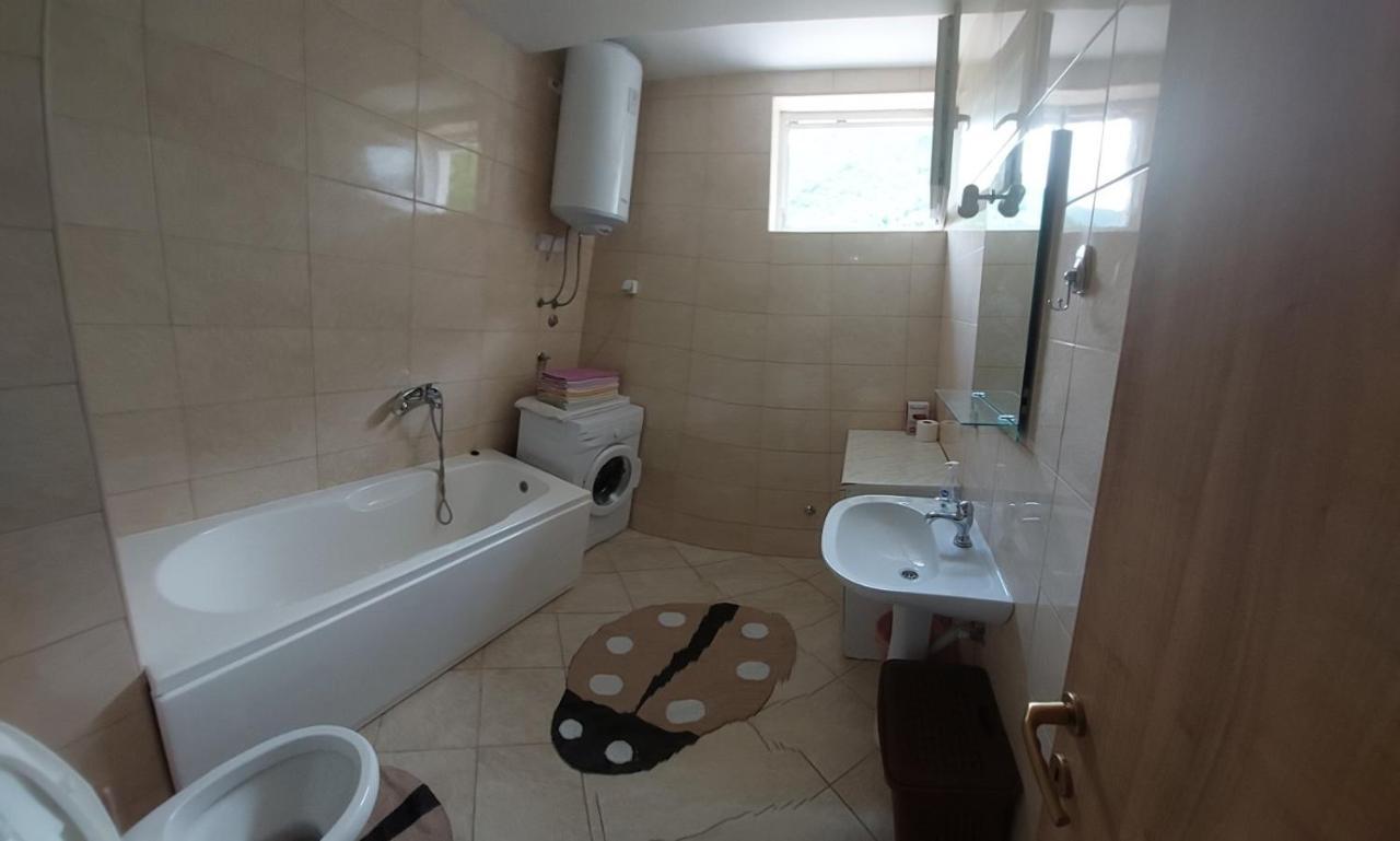 Apartman Bujisic Apartman Plužine Kültér fotó