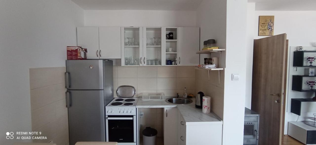 Apartman Bujisic Apartman Plužine Kültér fotó